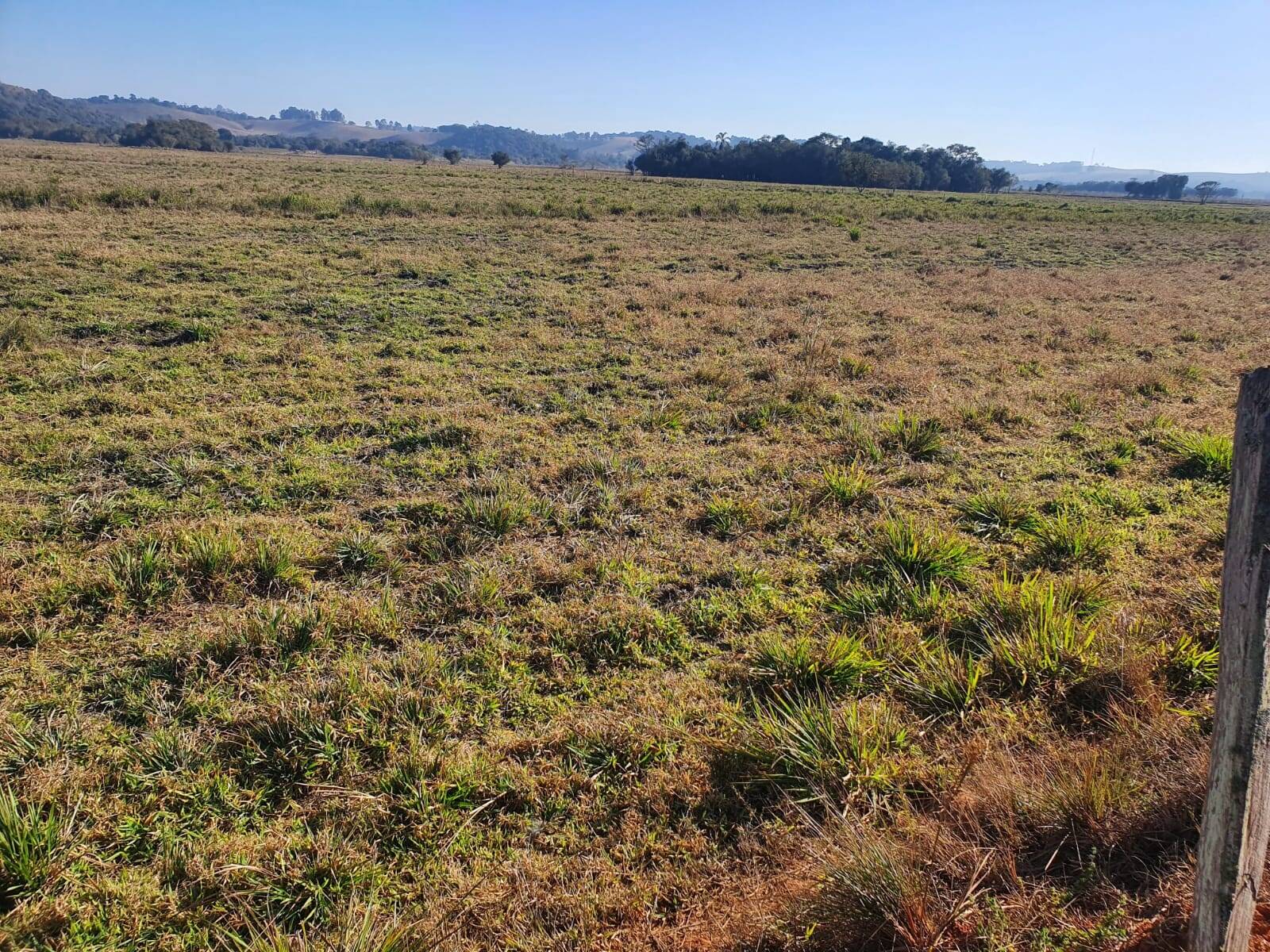 Fazenda em Pouso Alegre/Minas Gerais — Ref DJVZVO — Imagem 20
