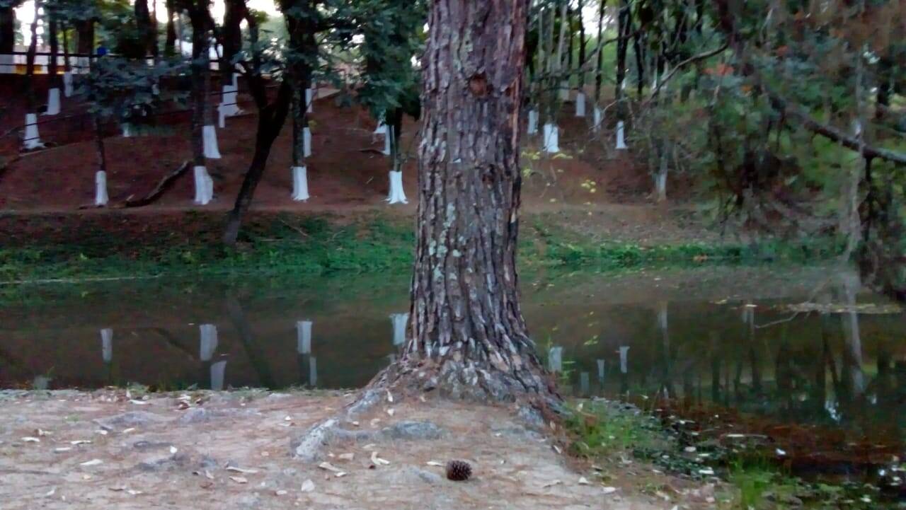 Sítio em Bragança Paulista/São Paulo — Ref SQ3AYL — Imagem 11