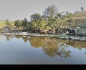 Sítio em Jacareí/São Paulo — Ref HC72LJ — Imagem 6