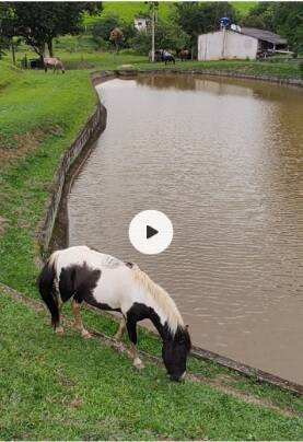 Sítio em Jacareí/São Paulo — Ref HC72LJ — Imagem 5