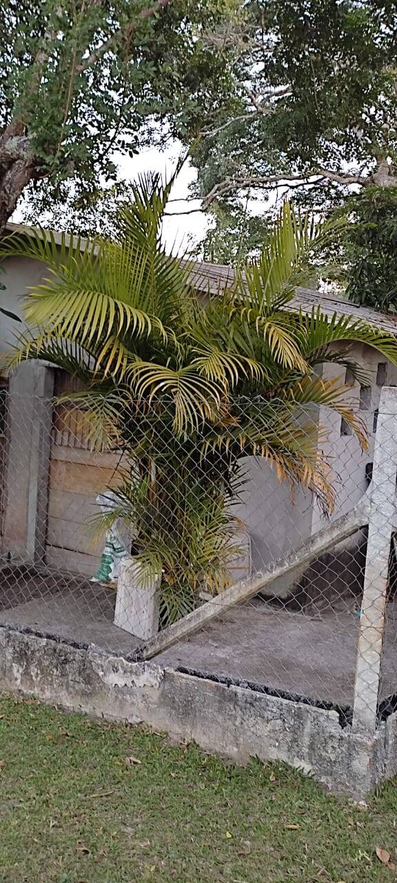 Sítio em Jacareí/São Paulo — Ref HC72LJ — Imagem 8