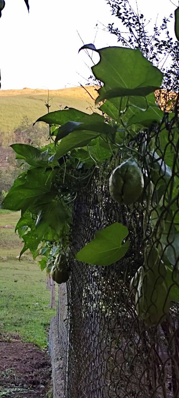 Sítio em Jacareí/São Paulo — Ref HC72LJ — Imagem 16