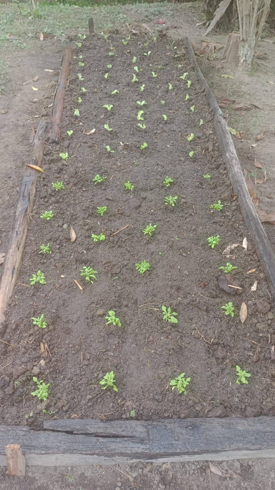 Chácara em Piracaia/São Paulo — Ref JIDSGG — Imagem 16