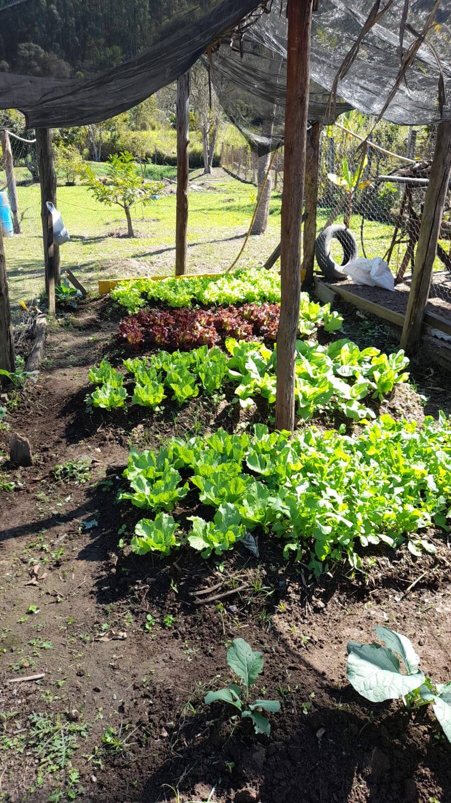 Chácara em Piracaia/São Paulo — Ref JIDSGG — Imagem 17