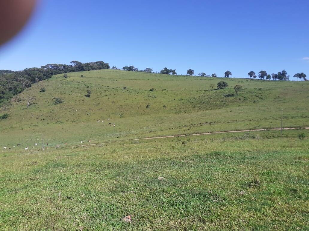 Fazenda em Careaçu/Minas Gerais — Ref 2CJL1K — Imagem 6