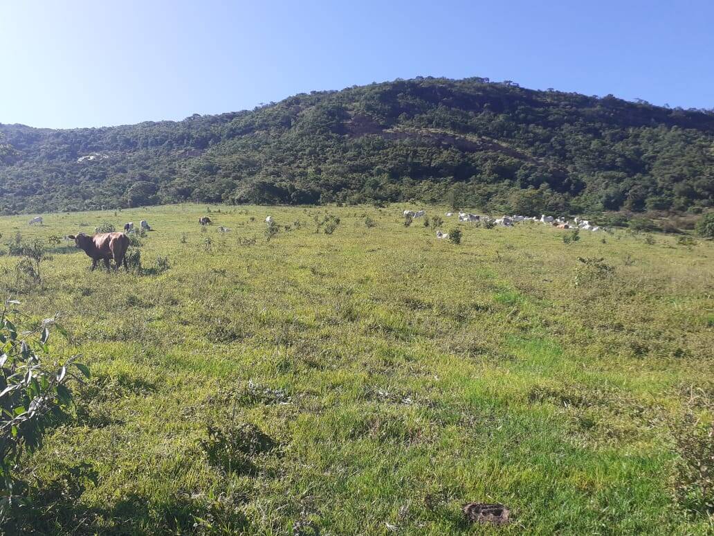 Fazenda em Careaçu/Minas Gerais — Ref 2CJL1K — Imagem 3