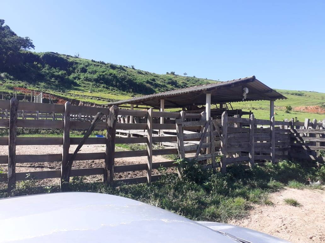 Fazenda em Careaçu/Minas Gerais — Ref 2CJL1K — Imagem 7