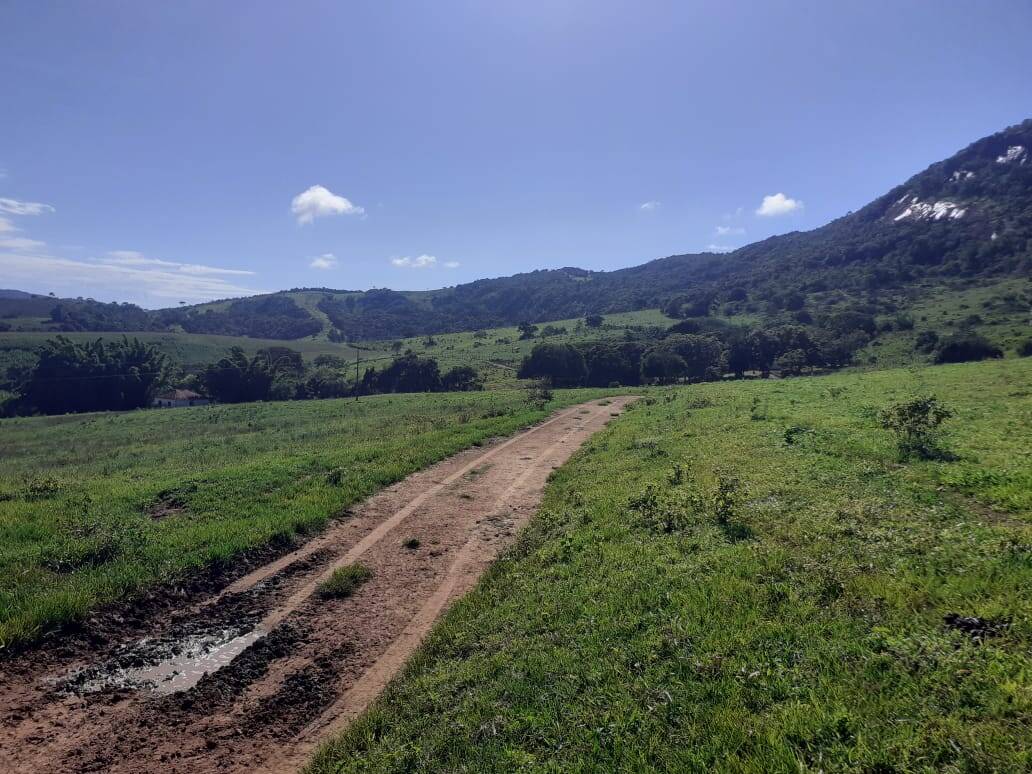 Fazenda em Careaçu/Minas Gerais — Ref 2CJL1K — Imagem 10
