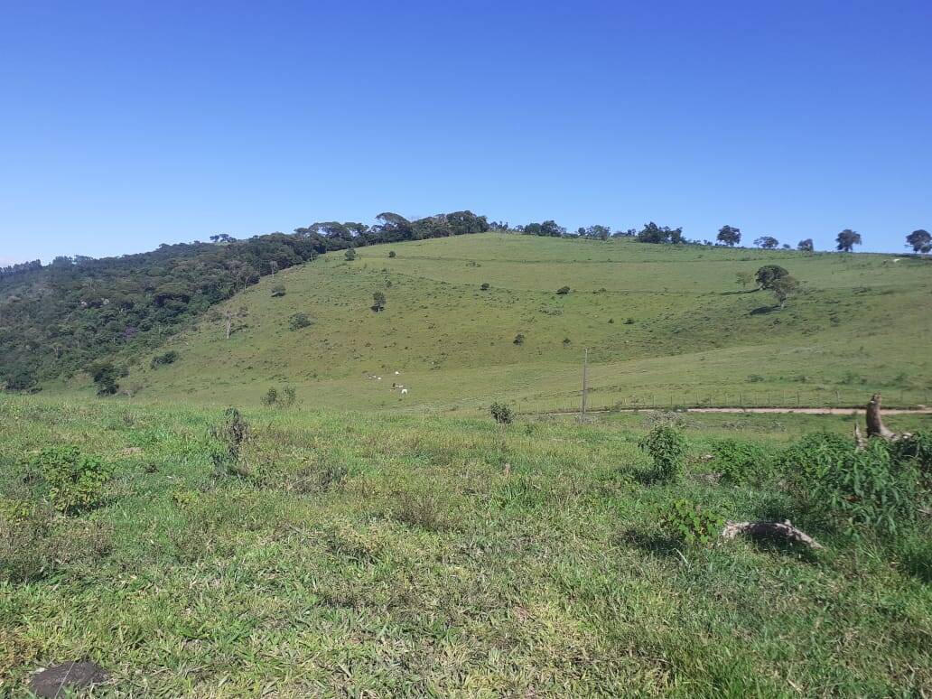 Fazenda em Careaçu/Minas Gerais — Ref 2CJL1K — Imagem 8