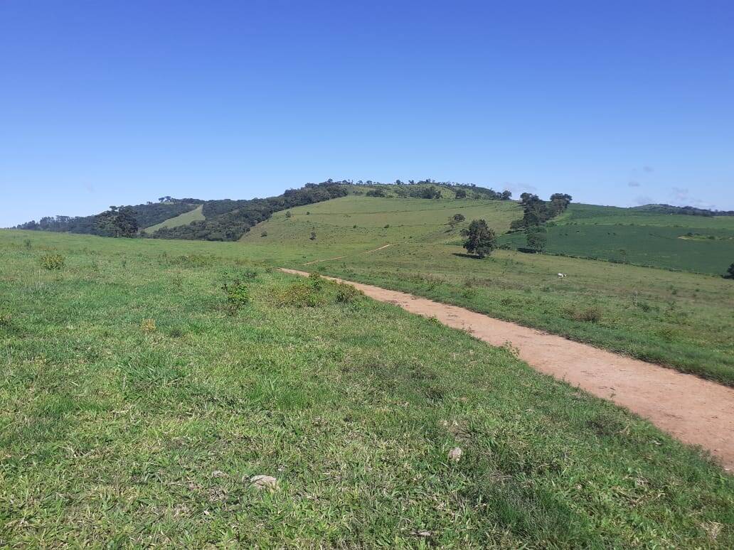 Fazenda em Careaçu/Minas Gerais — Ref 2CJL1K — Imagem 2