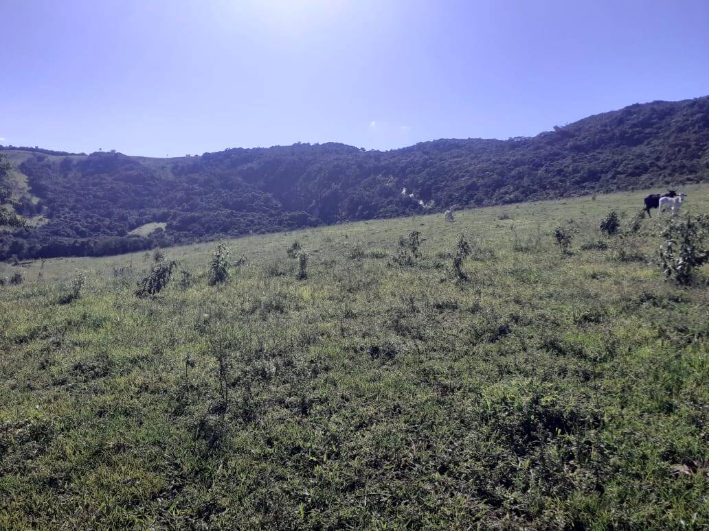 Fazenda em Careaçu/Minas Gerais — Ref 2CJL1K — Imagem 9