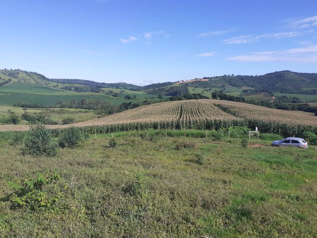 #1880 - Fazenda para Venda em Careaçu - MG