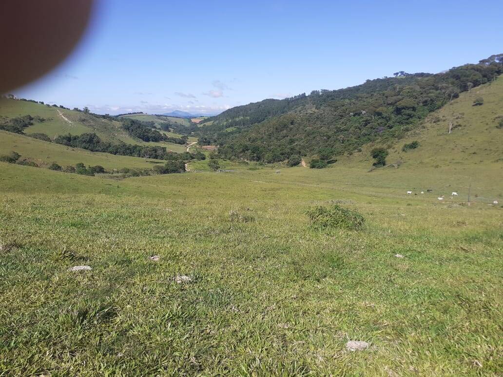 Fazenda em Careaçu/Minas Gerais — Ref 2CJL1K — Imagem 15