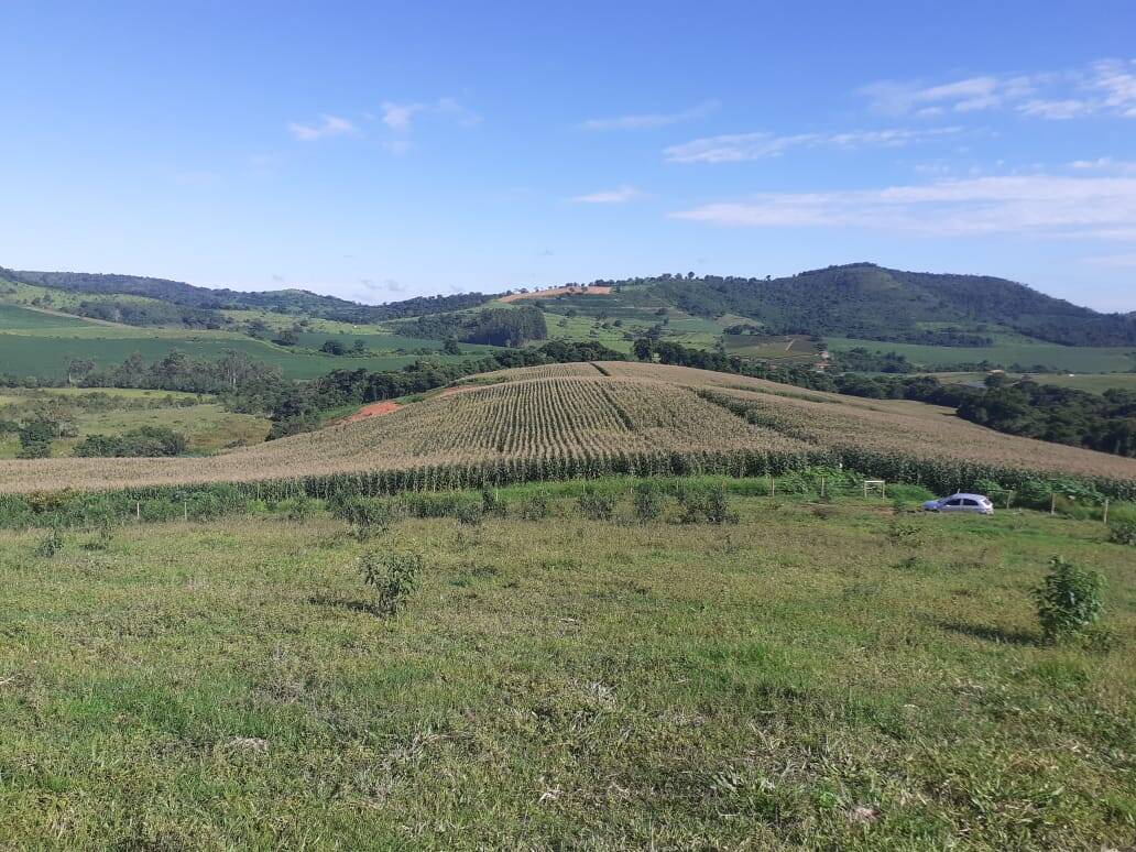 Fazenda em Careaçu/Minas Gerais — Ref 2CJL1K — Imagem 14