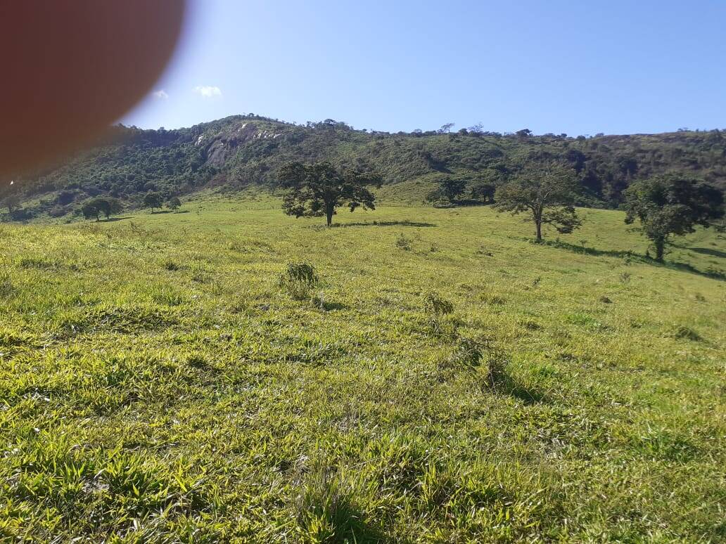 Fazenda em Careaçu/Minas Gerais — Ref 2CJL1K — Imagem 20