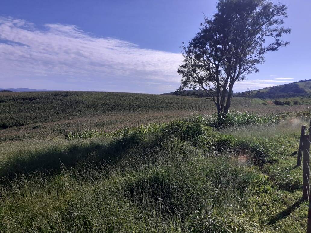 Fazenda em Careaçu/Minas Gerais — Ref 2CJL1K — Imagem 19