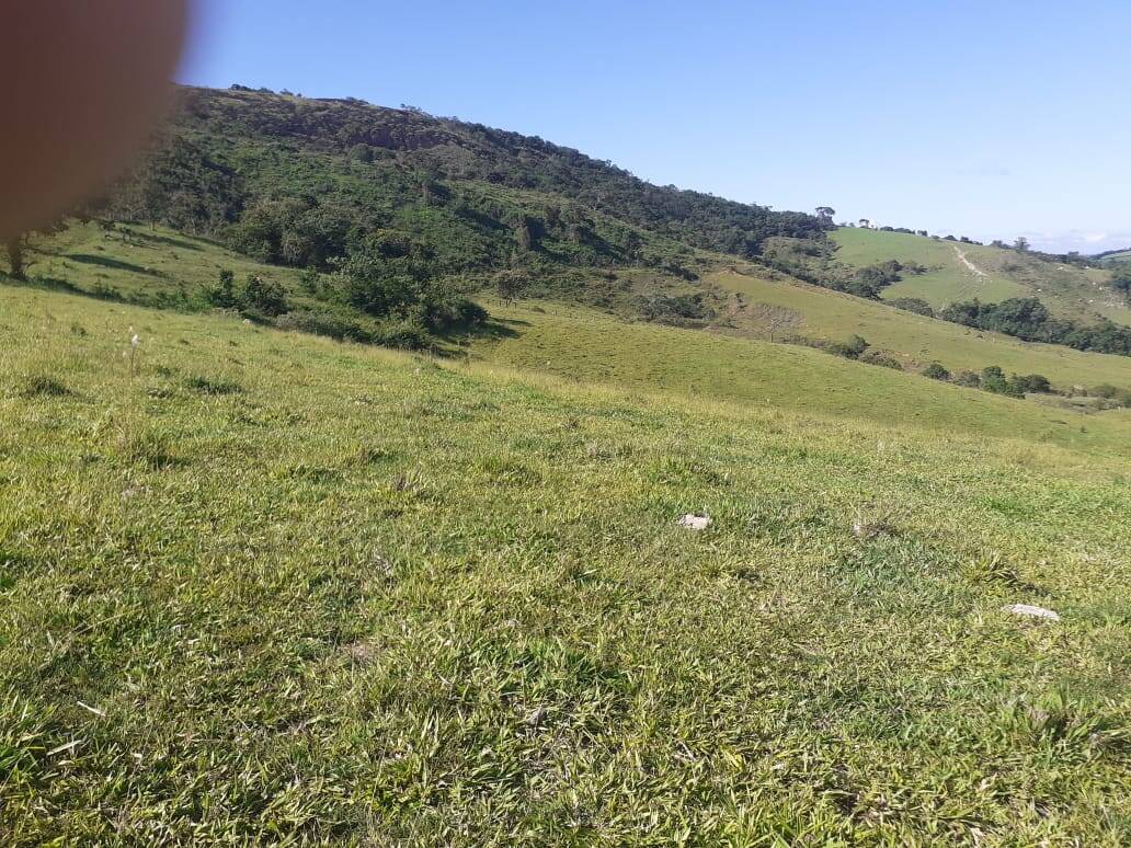 Fazenda em Careaçu/Minas Gerais — Ref 2CJL1K — Imagem 17