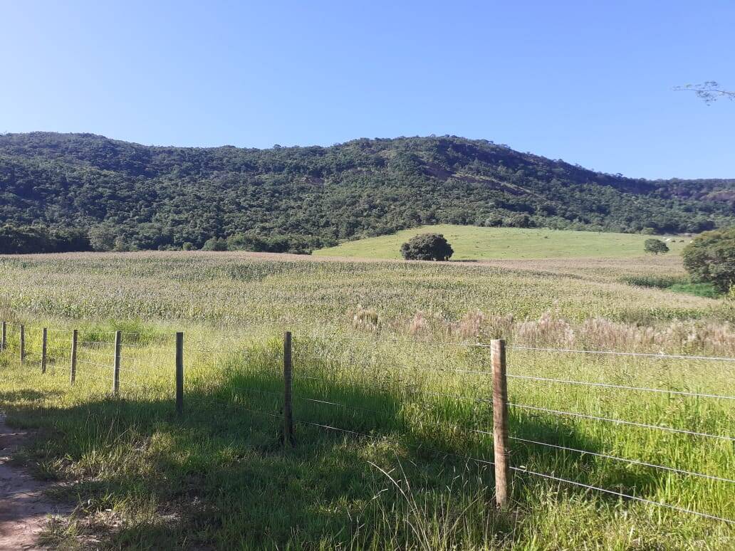 Fazenda em Careaçu/Minas Gerais — Ref 2CJL1K — Imagem 18