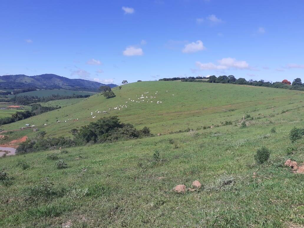Fazenda em Careaçu/Minas Gerais — Ref 2CJL1K — Imagem 22