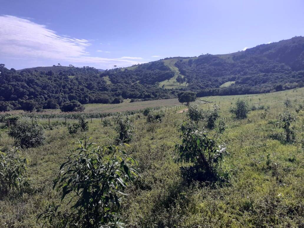 Fazenda em Careaçu/Minas Gerais — Ref 2CJL1K — Imagem 23