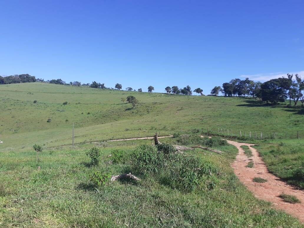 Fazenda em Careaçu/Minas Gerais — Ref 2CJL1K — Imagem 24