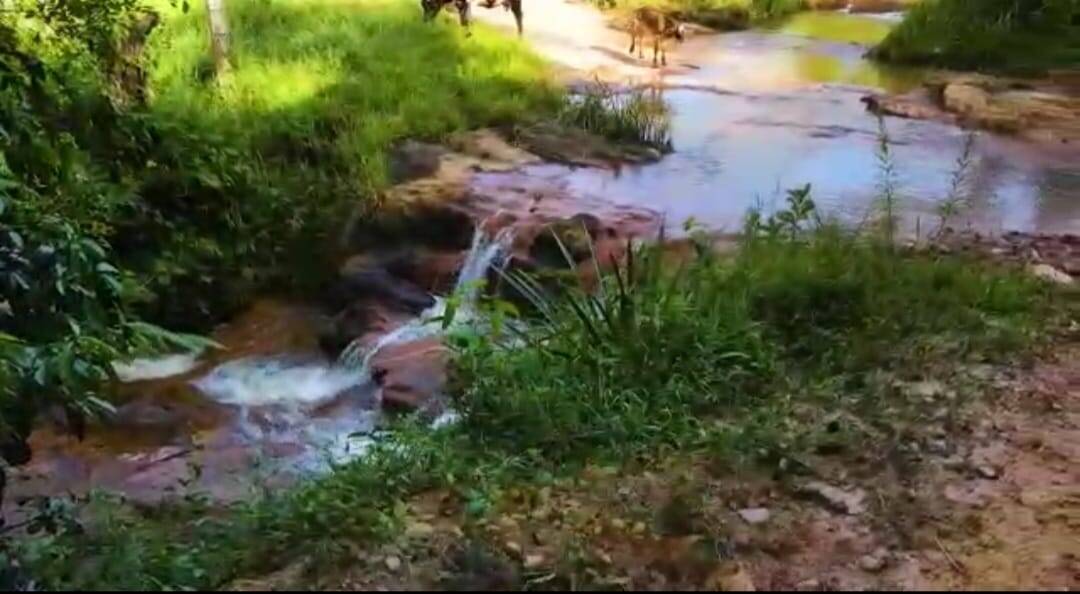 Fazenda em Santa Branca/São Paulo — Ref TVYN8K — Imagem 42