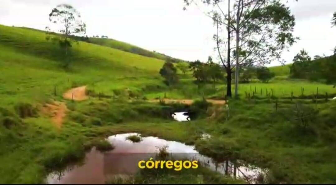 Fazenda em Santa Branca/São Paulo — Ref TVYN8K — Imagem 44