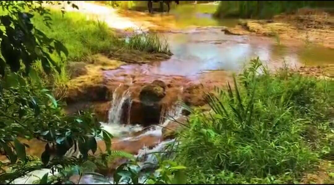 Fazenda em Santa Branca/São Paulo — Ref TVYN8K — Imagem 55