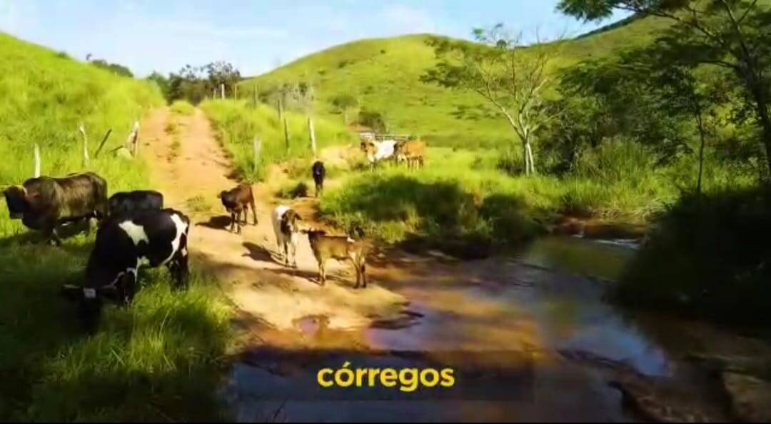 Fazenda em Santa Branca/São Paulo — Ref TVYN8K — Imagem 57