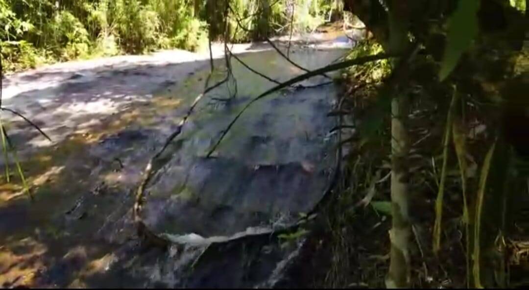 Fazenda em Santa Branca/São Paulo — Ref TVYN8K — Imagem 60