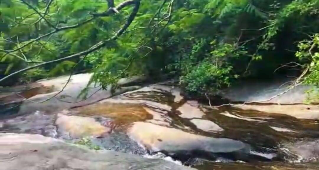 Fazenda em Santa Branca/São Paulo — Ref TVYN8K — Imagem 62