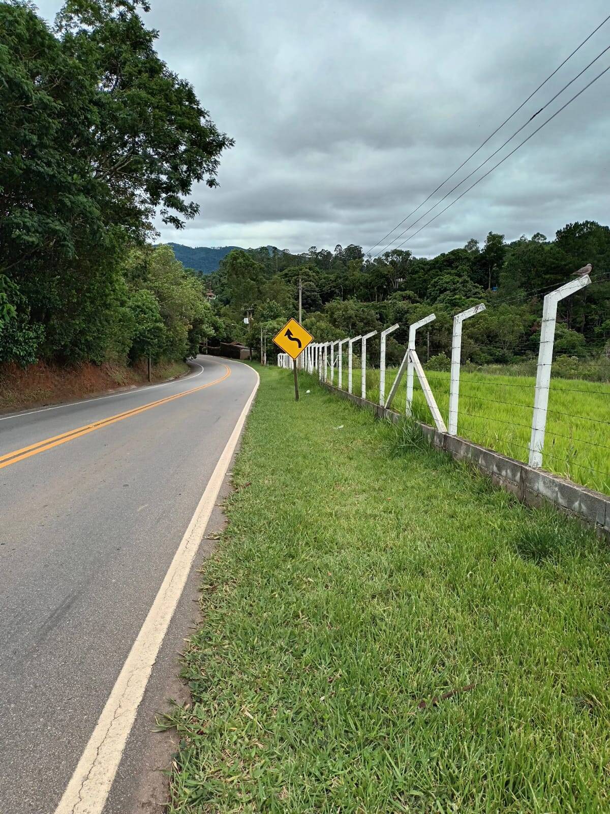 #2265 - Área para Venda em Vargem - SP