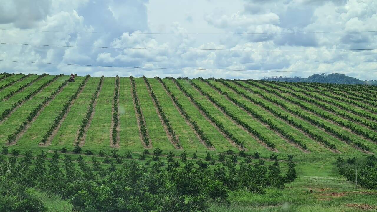 #2514 - Fazenda para Venda em Campina Verde - MG