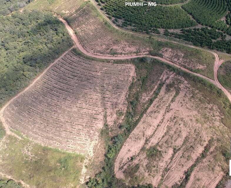 Fazenda em Vargem Bonita/Minas Gerais — Ref P79WAU — Imagem 5