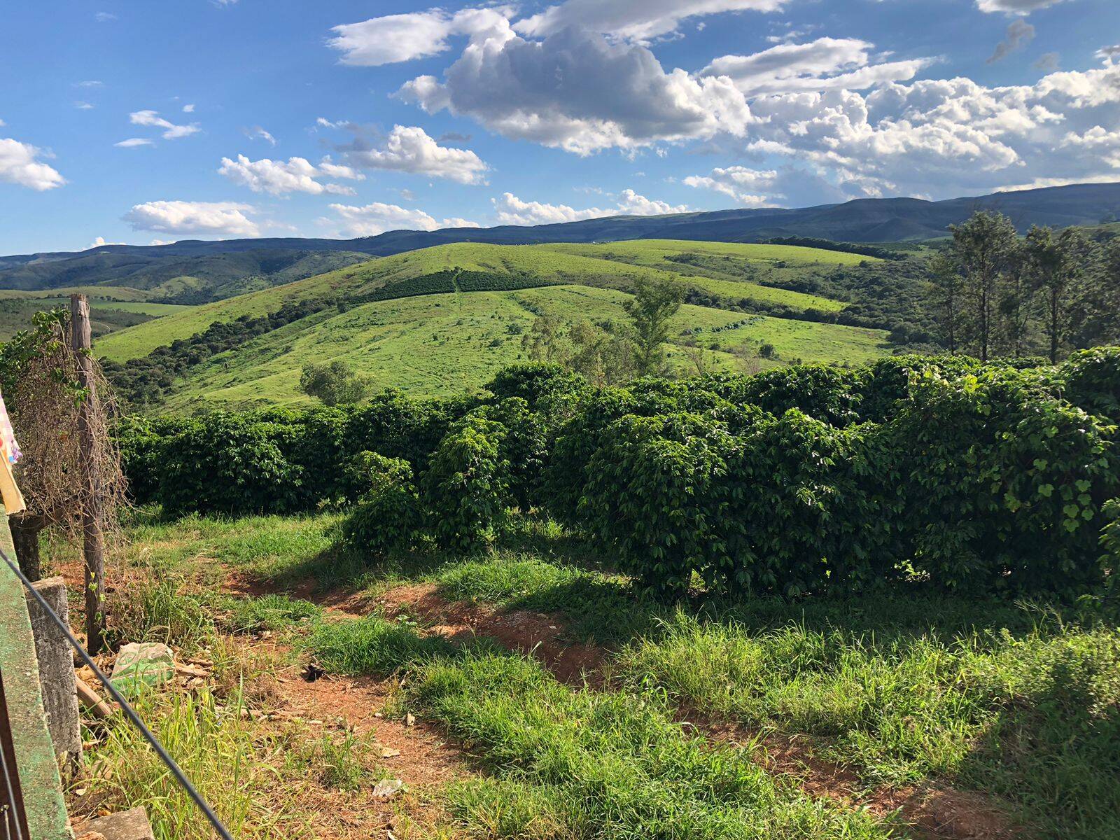 Fazenda em Vargem Bonita/Minas Gerais — Ref P79WAU — Imagem 7