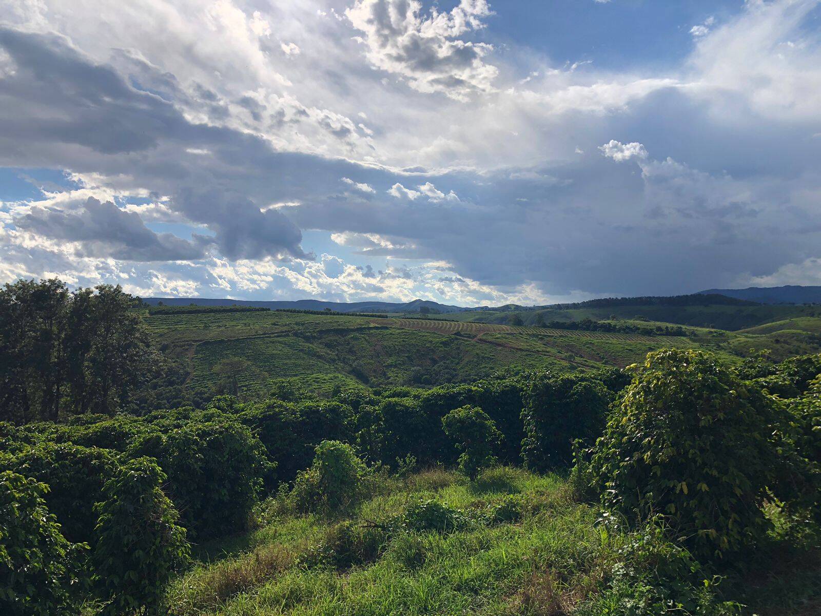 Fazenda em Vargem Bonita/Minas Gerais — Ref P79WAU — Imagem 6