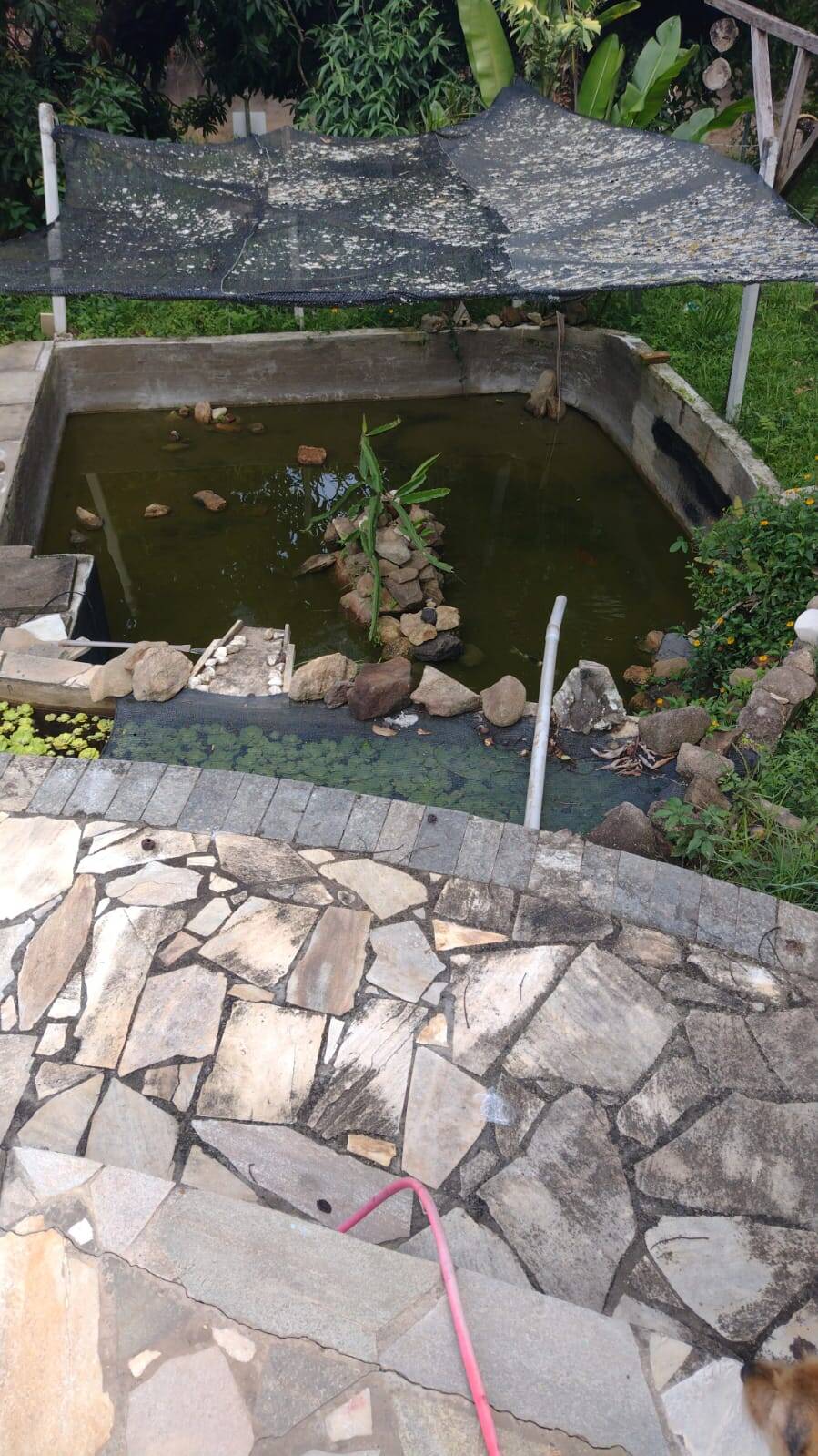 Chácara em Atibaia/São Paulo — Ref FP3CGV — Imagem 8