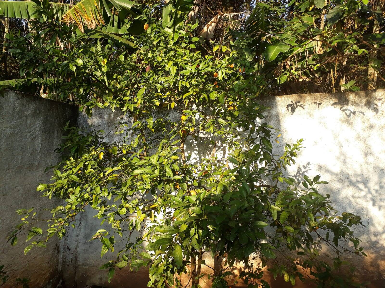 Chácara em Atibaia/São Paulo — Ref FP3CGV — Imagem 7