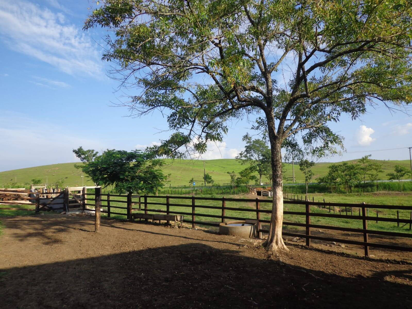 Fazenda em Cachoeira Paulista/São Paulo — Ref I6NQRB — Imagem 13