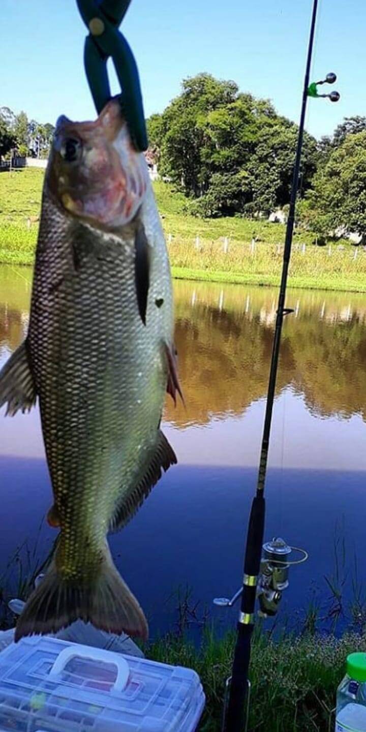 Fazenda em Cachoeira Paulista/São Paulo — Ref I6NQRB — Imagem 15