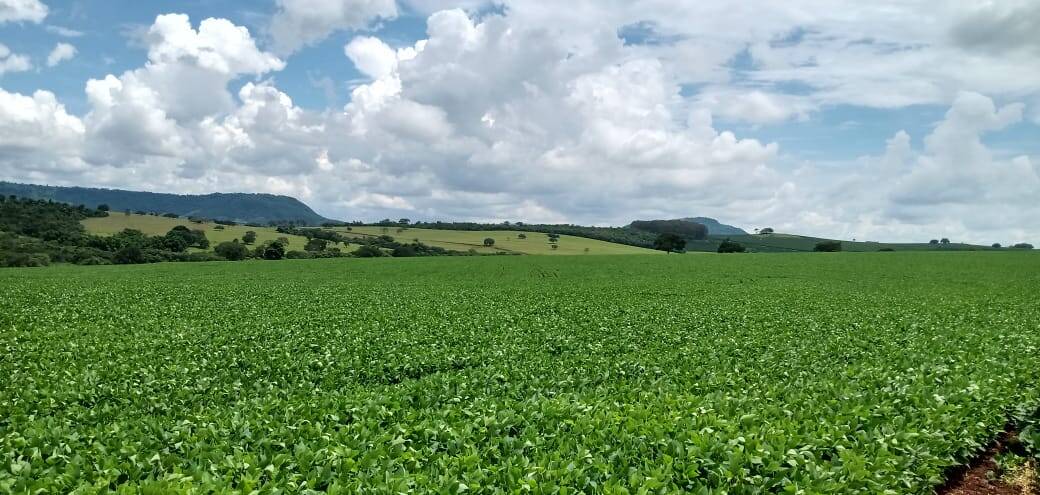 #1864 - Fazenda para Venda em São Sebastião do Paraíso - MG