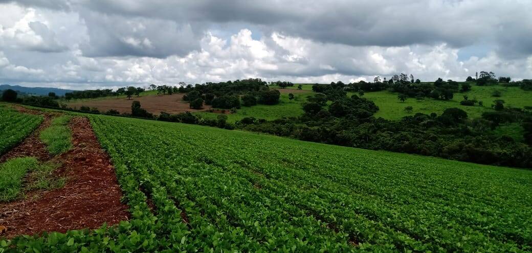 Fazenda em São Sebastião do Paraíso/Minas Gerais — Ref 63NSHV — Imagem 2