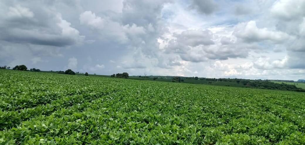 Fazenda em São Sebastião do Paraíso/Minas Gerais — Ref 63NSHV — Imagem 3
