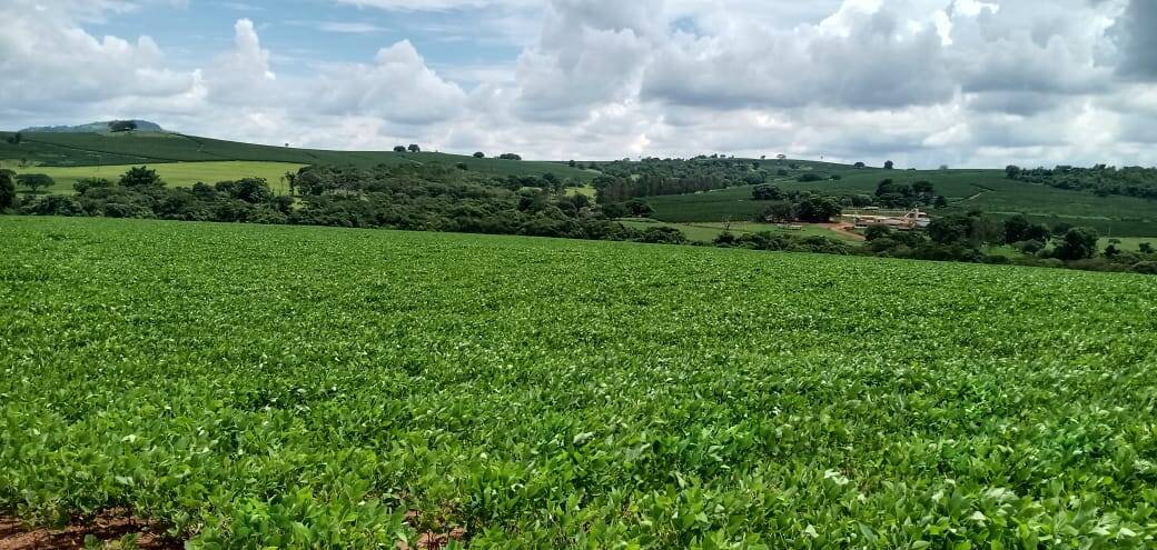 Fazenda em São Sebastião do Paraíso/Minas Gerais — Ref 63NSHV — Imagem 4