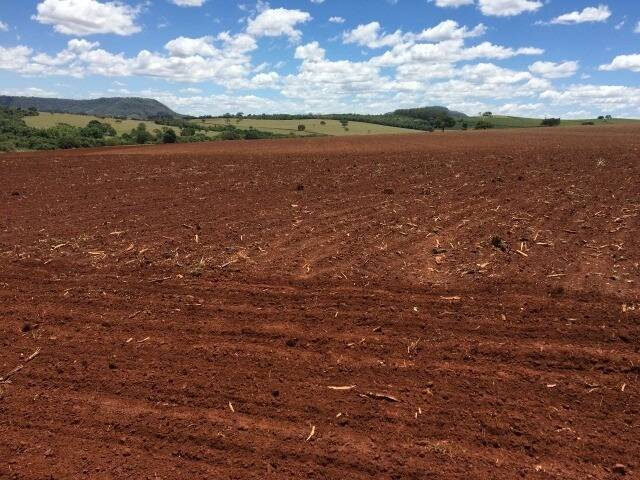 Fazenda em São Sebastião do Paraíso/Minas Gerais — Ref 63NSHV — Imagem 6