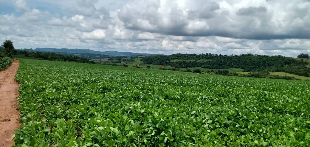 Fazenda em São Sebastião do Paraíso/Minas Gerais — Ref 63NSHV — Imagem 5