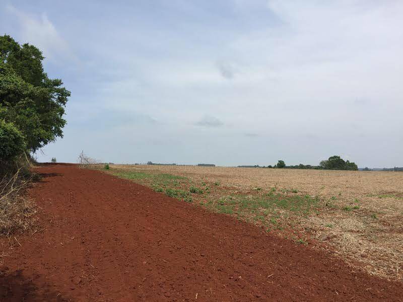 Fazenda em Águas de Santa Bárbara/São Paulo — Ref UQRCUK — Imagem 16