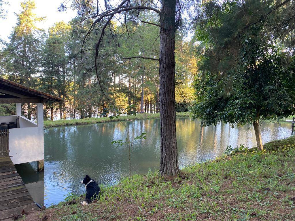 Fazenda em Águas de Santa Bárbara/São Paulo — Ref UQRCUK — Imagem 13