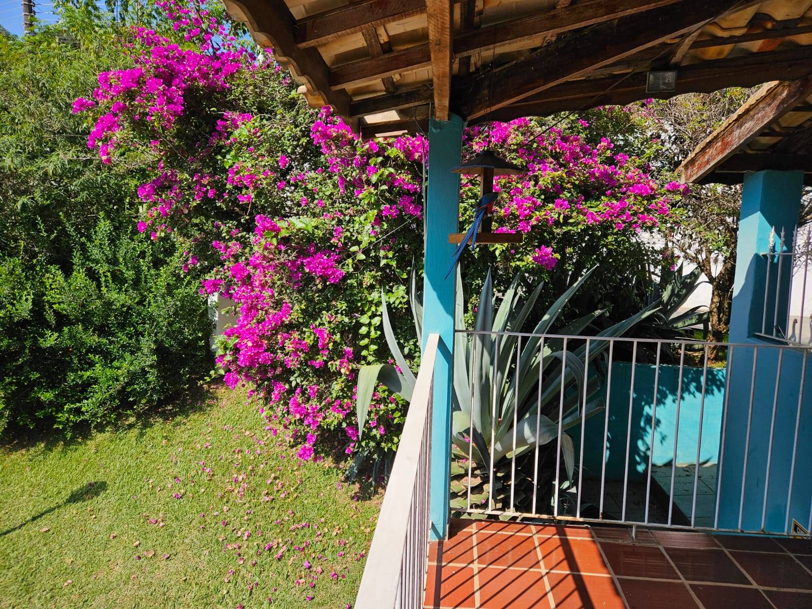 Chácara em Bragança Paulista/São Paulo — Ref DOL26O — Imagem 53