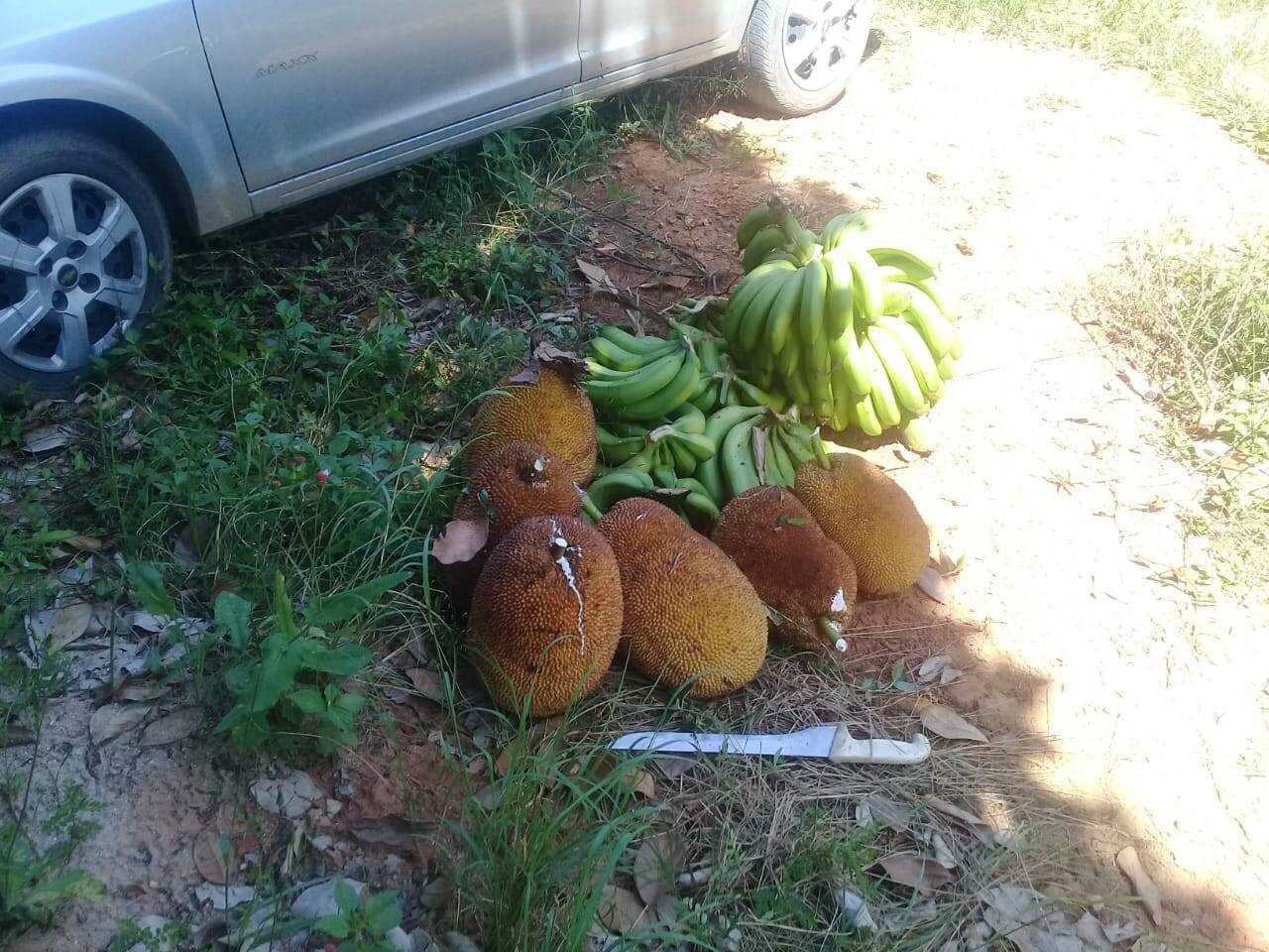 Chácara em Igaratá/São Paulo — Ref KFAW2U — Imagem 8